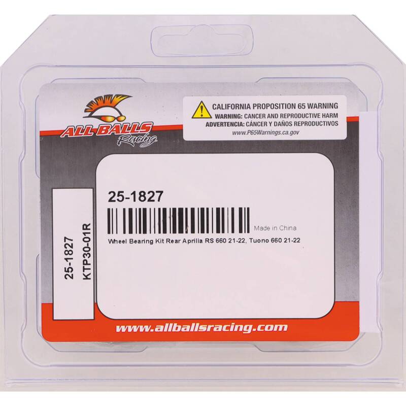 All Balls Racing Wheel Bearing Kit