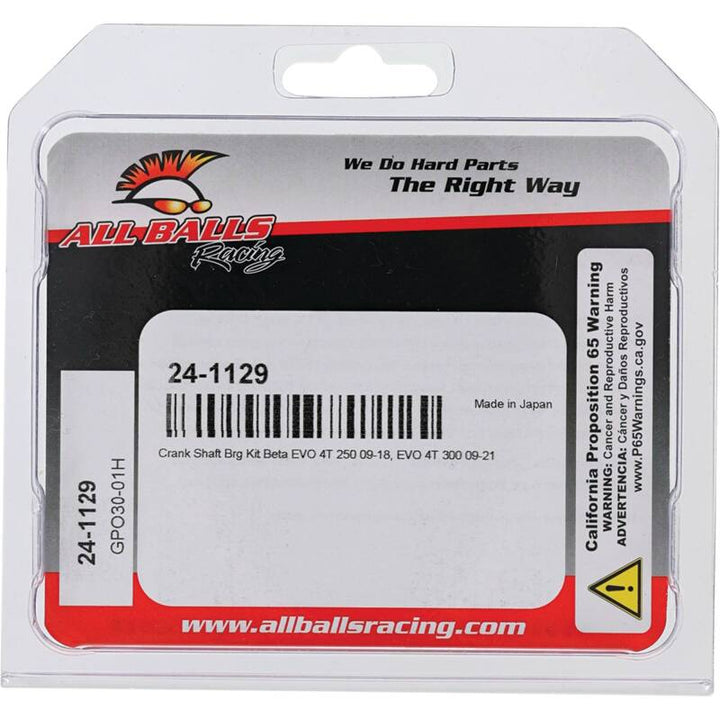 All Balls Racing Crank Bearing Kit