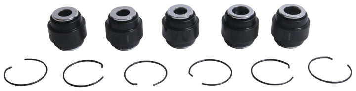 All Balls Racing Rear Ind. Suspension Kit