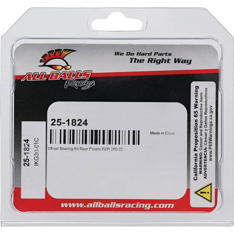 All Balls Racing Wheel Bearing Kit