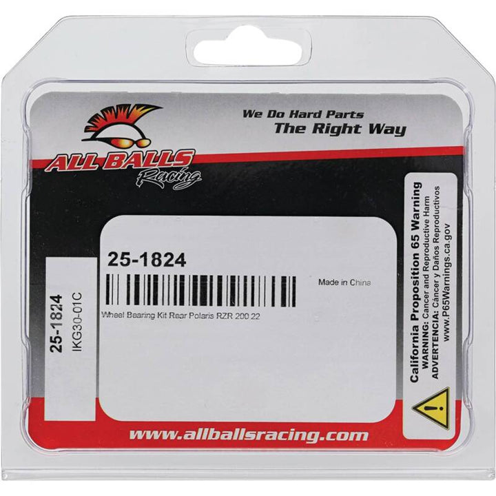 All Balls Racing Wheel Bearing Kit
