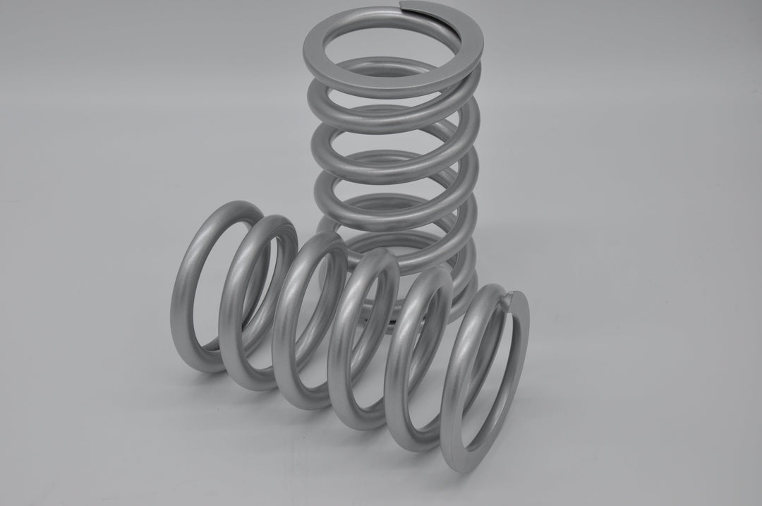 Two Silver Rebound Tender Springs