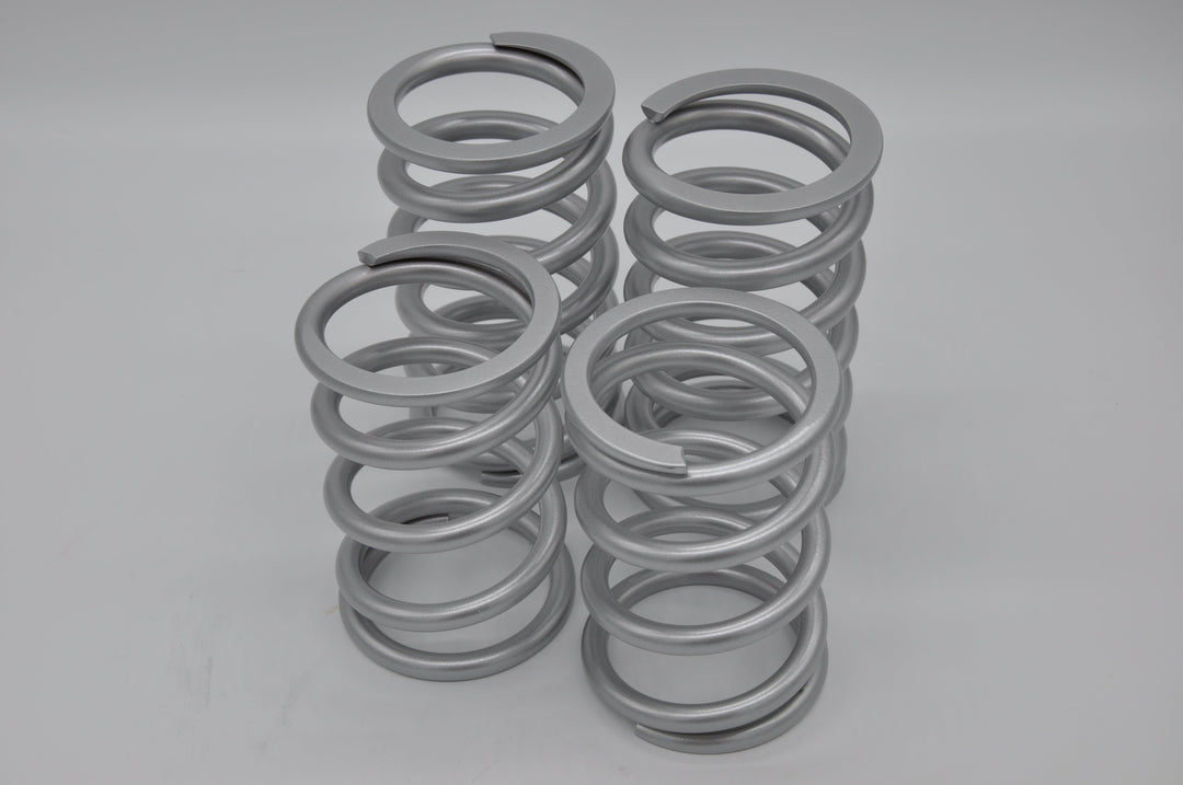 Four Silver Rebound Tender Springs