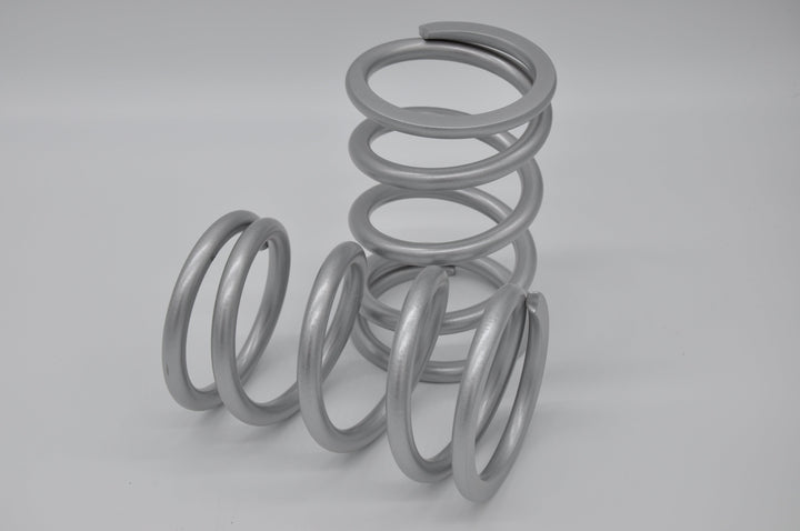 Two Silver Rebound Tender Springs, Alternate Angle