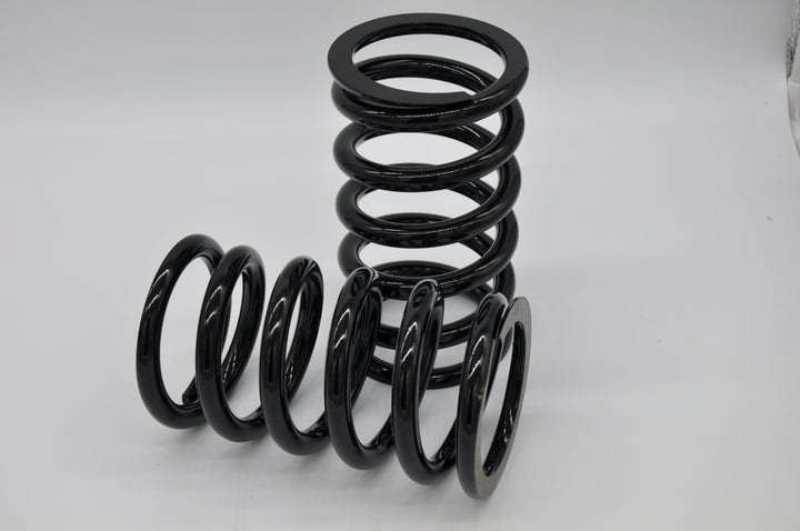 Two Black Rebound Tender Springs